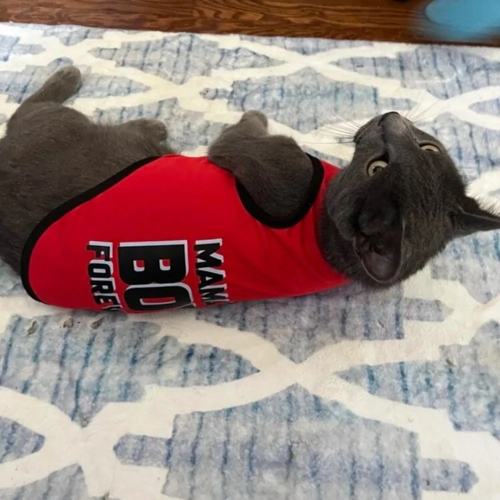 Letter graphic pet tank‎